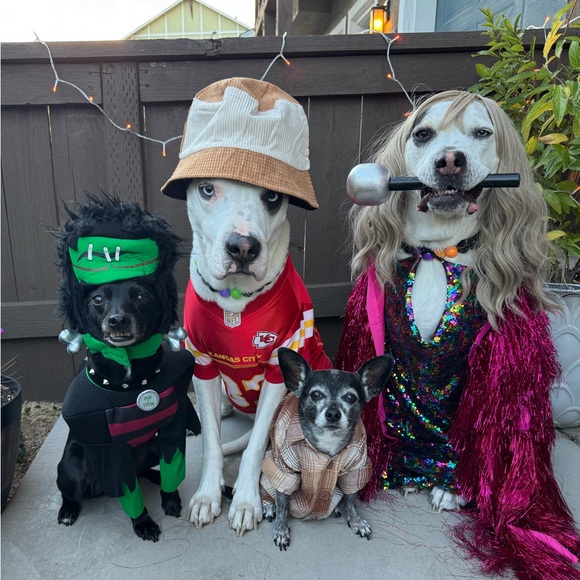 Meet your Posher, Mikki - Picture 4 of 6